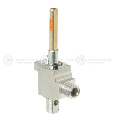 Buy Today GAS VALVE ASSEMBLYWB21X29409